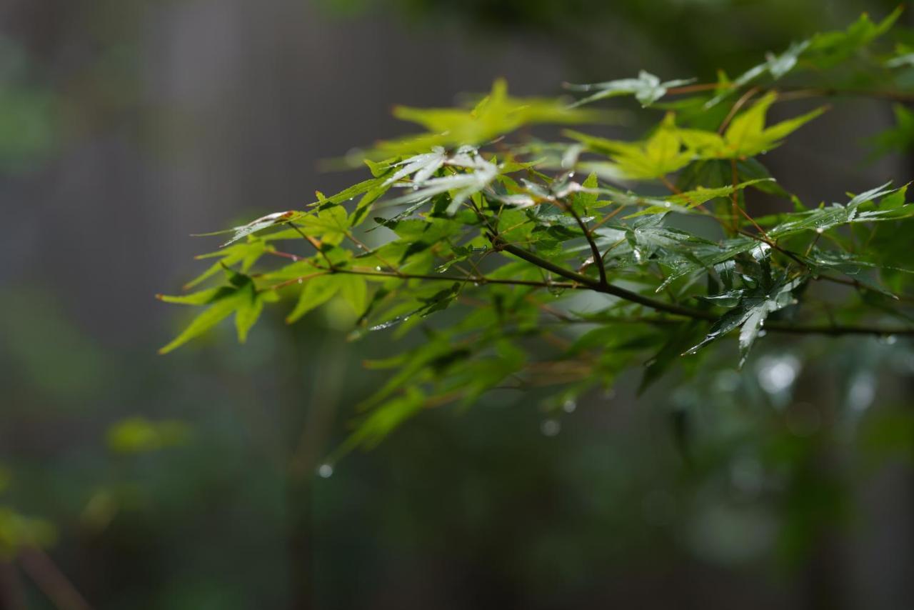 滔々 御崎 町家の宿 Toutou Onzaki Machiya No Yado Kurashiki Exterior photo